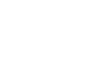 Auto Roulette logo